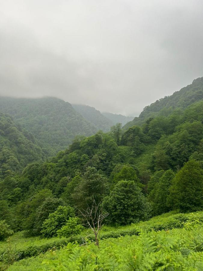 Mtirala Panorama Panzió Khala Kültér fotó